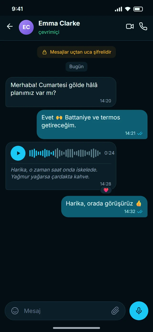 Sesinizle söyle